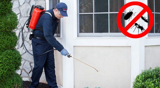 Acıgöl Dezenfeksiyon böcek ilaçlama ve haşere kontrolü — ilaclama-tr.com